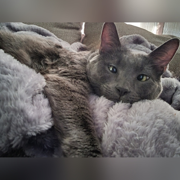 Meet your Posher, Mishelle - Picture 8 of 14